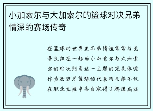 小加索尔与大加索尔的篮球对决兄弟情深的赛场传奇