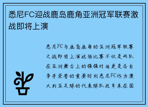 悉尼FC迎战鹿岛鹿角亚洲冠军联赛激战即将上演
